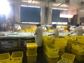 守護(hù)舌尖安全 我市持續(xù)推進(jìn)餐飲具集中消毒質(zhì)量提升行動